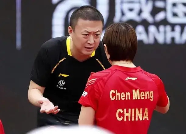 日本队险胜法国队，马琳惊艳四座的简单介绍