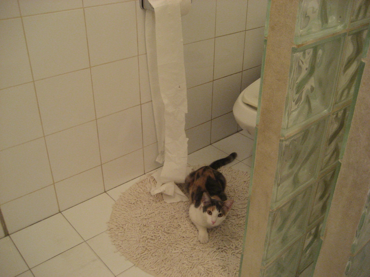 平行时空的足球启示，久保建英的优雅爆发与洪都拉斯的血色尊严