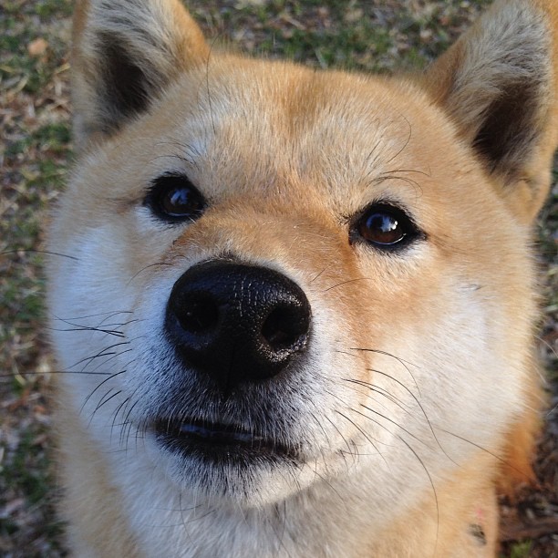 背身单打已过时?恩比德用复古技艺宣告现代中锋的真正价值