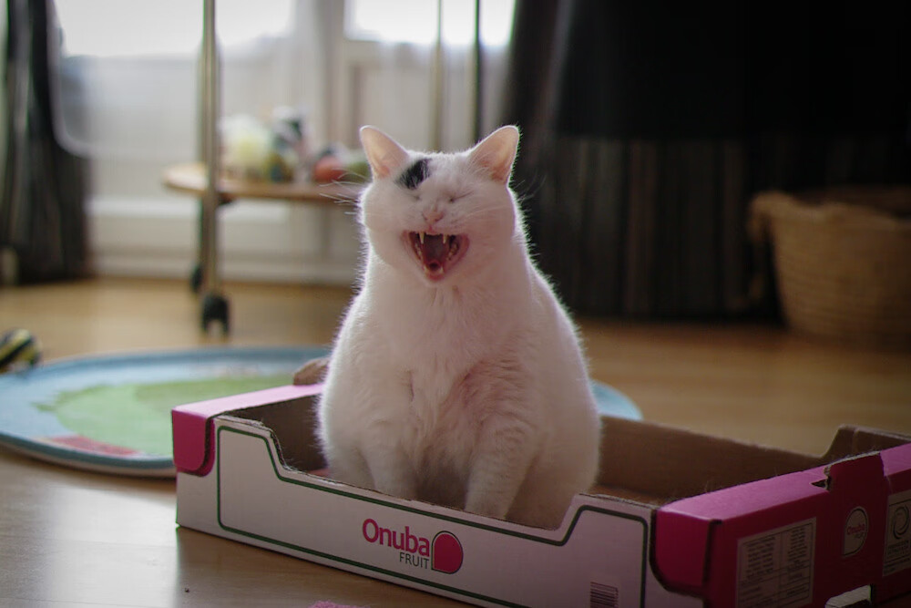 窒息式防守，布克一手掌控比赛命脉，篮网客场让新疆队陷入绝望深渊