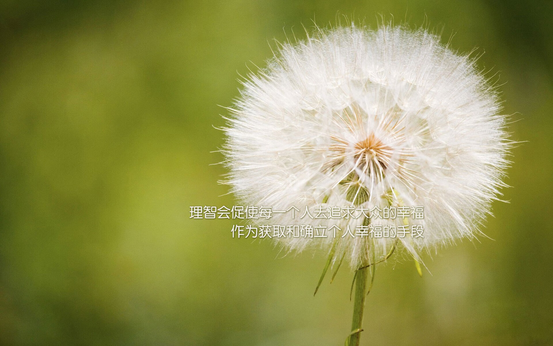 绿茵唯一性，当皇家社会带走克罗地亚少年，2026的托尼便已注定接管比赛