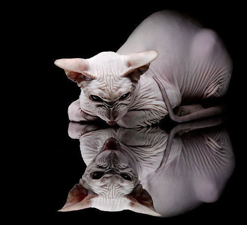 东方星火与安达卢西亚逆袭，久保建英与贝蒂斯的双线传奇