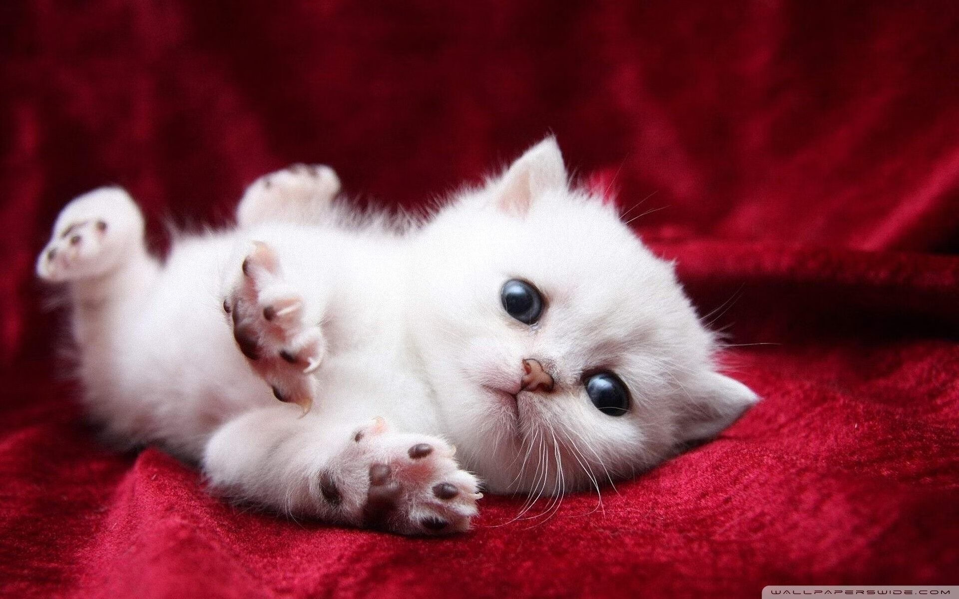 不是所有重逢都叫宿命，欧文在骑士主场的无声宣言