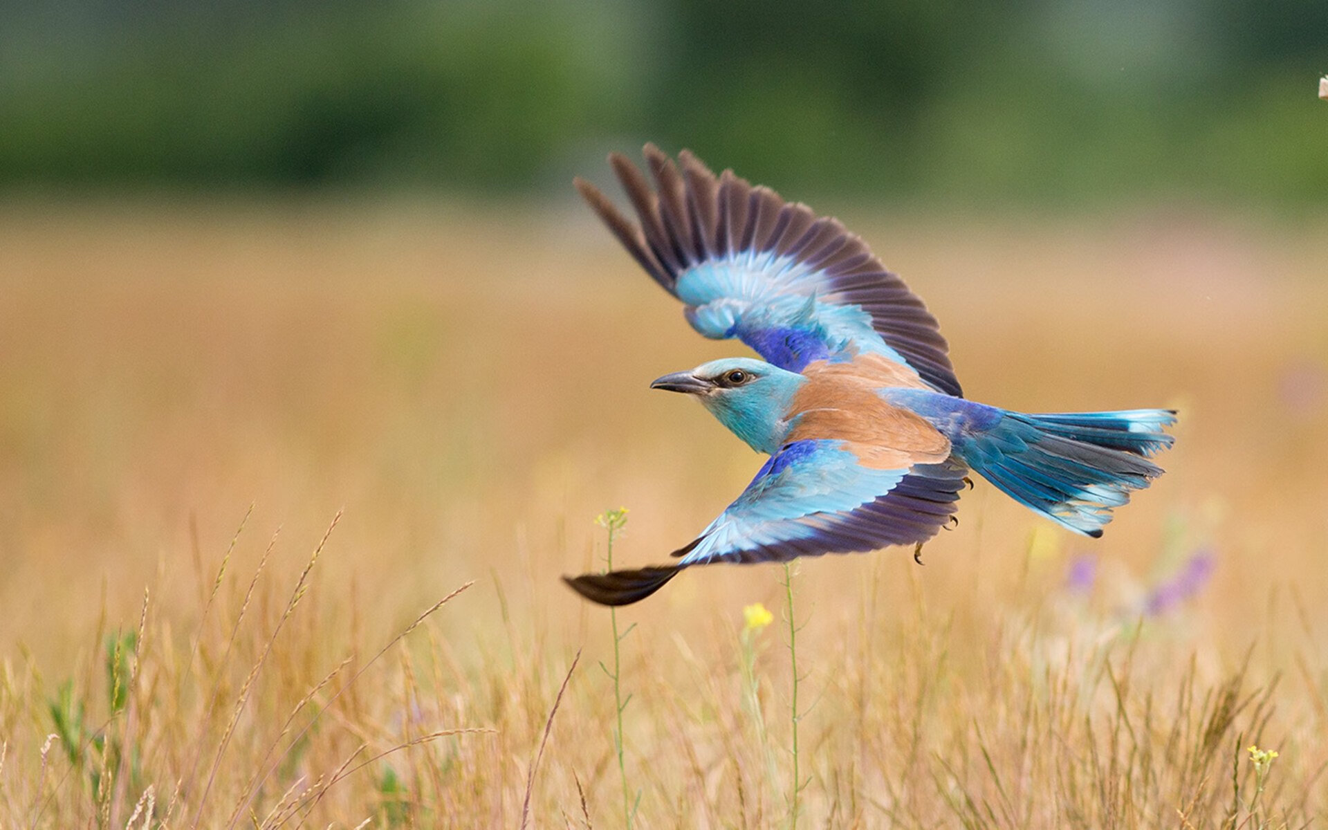 不是所有重逢都叫宿命，欧文在骑士主场的无声宣言