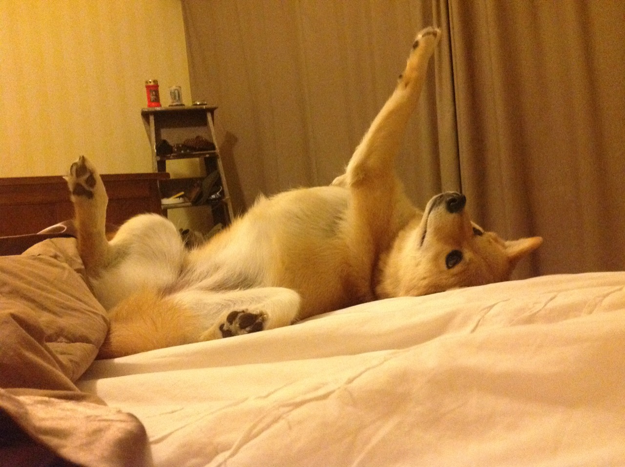 当太阳跨越太平洋照亮浙江，恩比德如何成为一场非典型胜利的终极答案