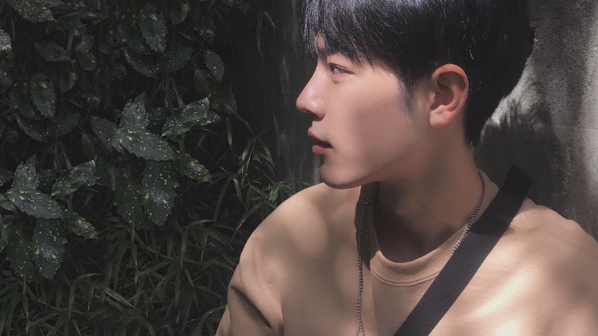 安菲尔德传奇的黄昏,里昂抢七决战终结利物浦王朝神话