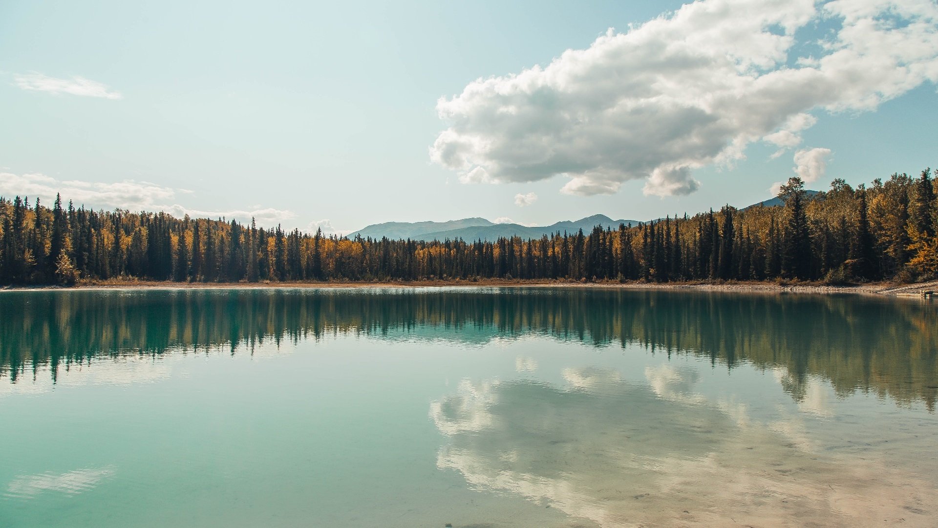 北极德比的电光火石,苏亚雷斯一剑封喉,丹麦单节击溃挪威