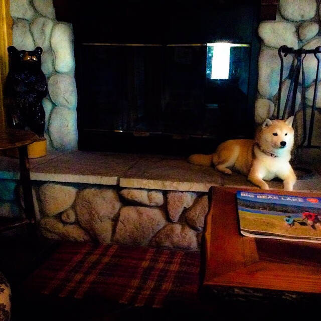 历史性一胜!吉林队首次战胜鹈鹕的背后,是哈登的王者归来