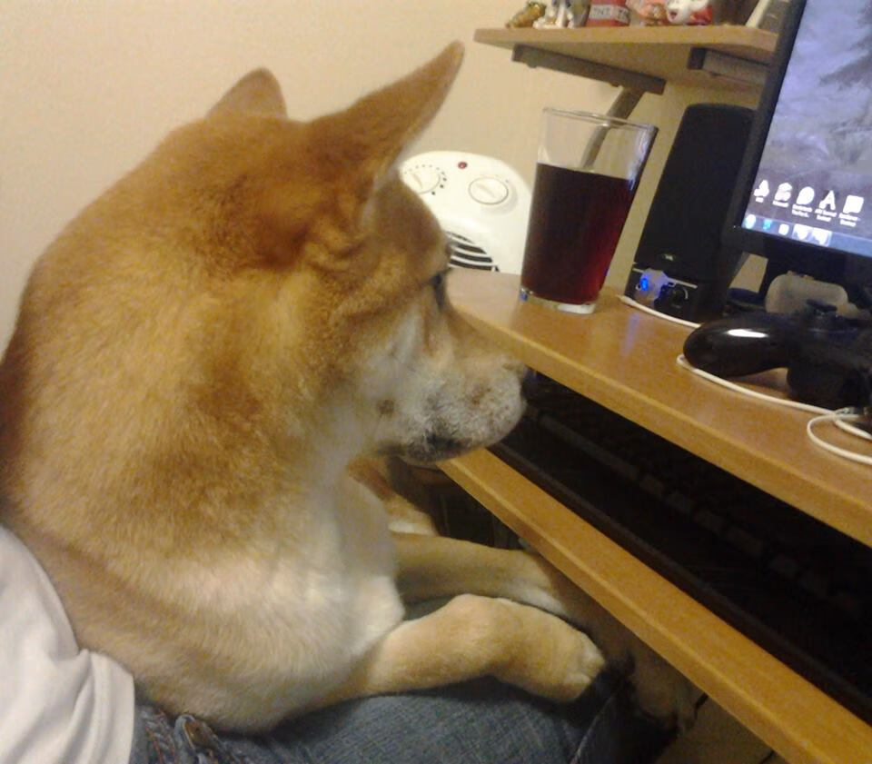 意甲焦点战难再现，勒沃库森的欧联淘汰赛启示录