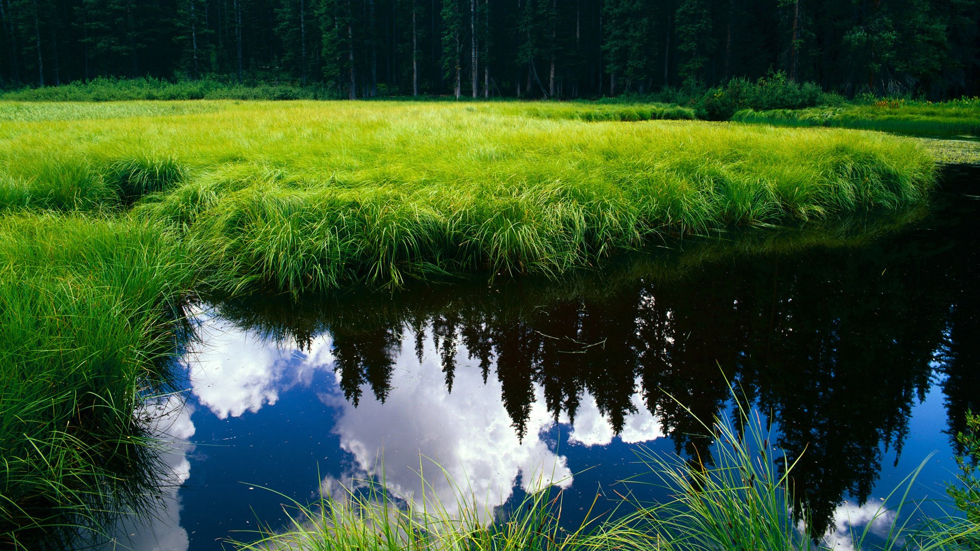 极速之夜，孤勇之光