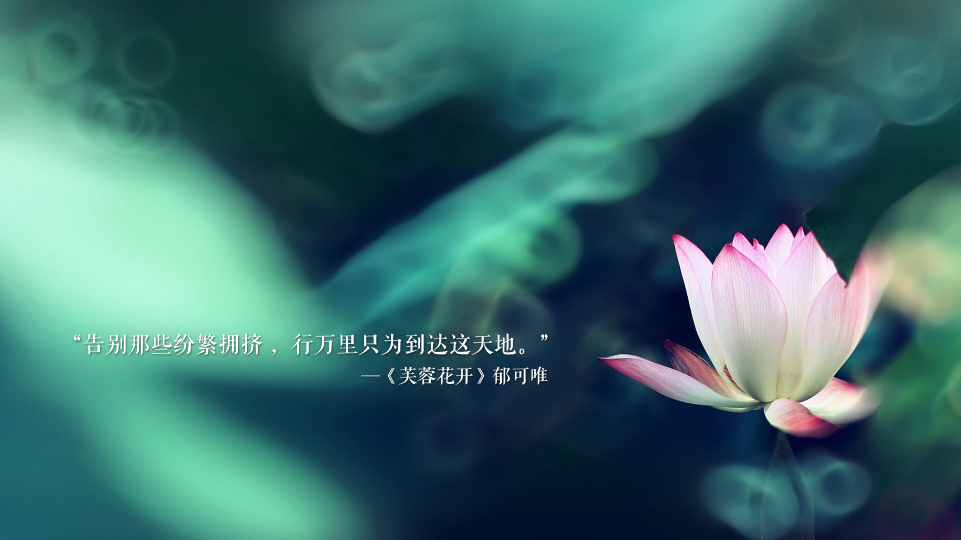 2026世界杯F组关键战,泰国绝杀比利时,罗德里戈带队书写唯一传奇