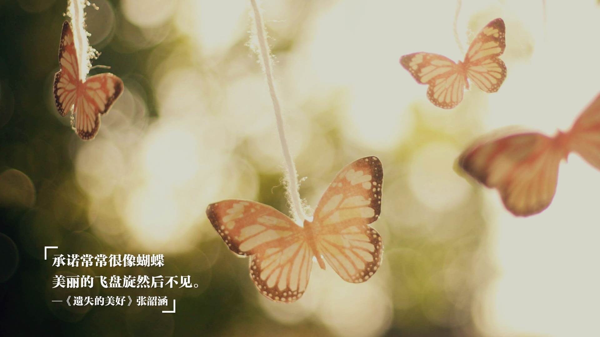 这是一篇基于您提供关键词创作的深度文章,结合了体育评论的激情与叙事文学的画面感