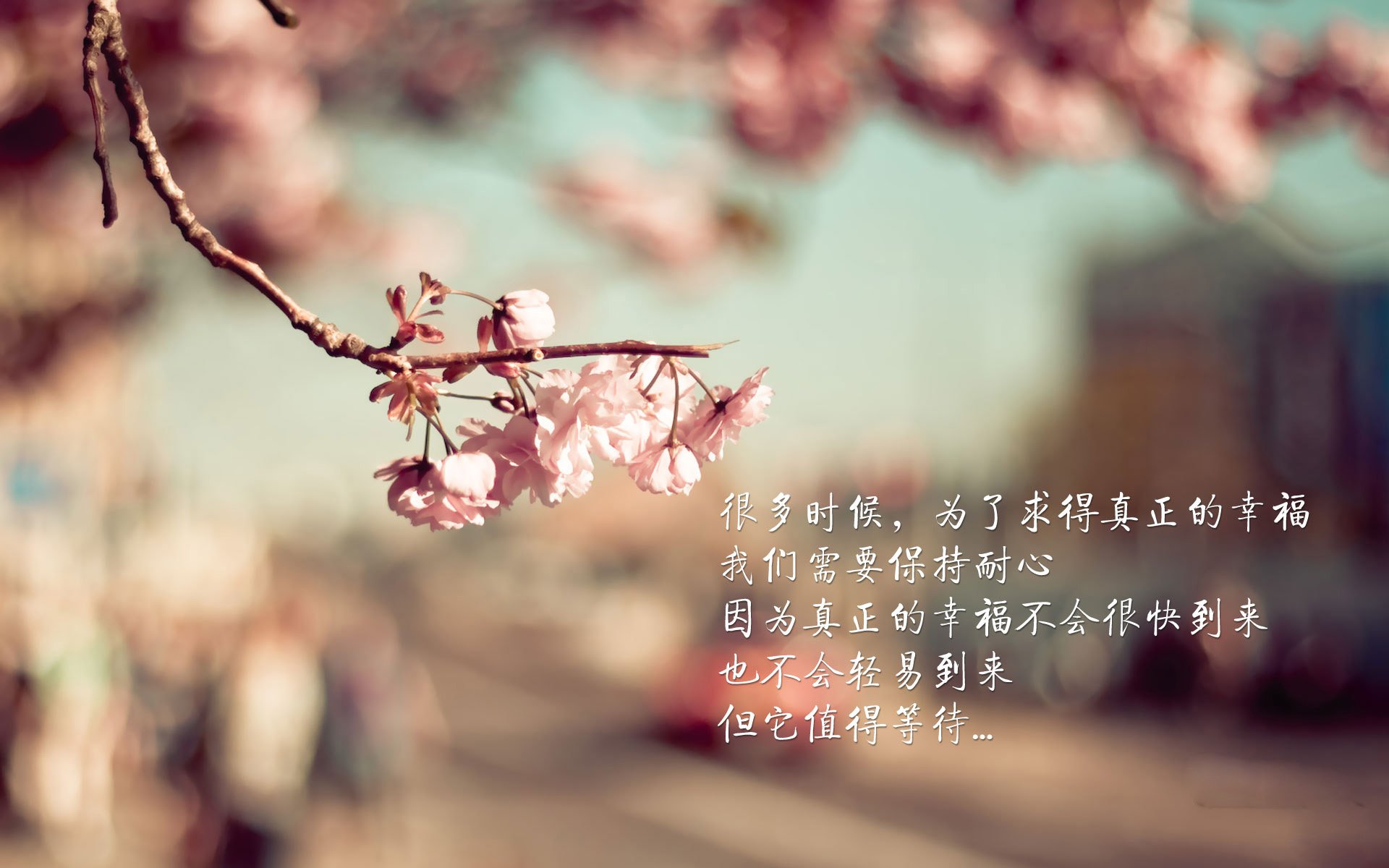 扩展(备选)